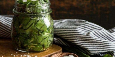 Kako sačuvati kiselicu